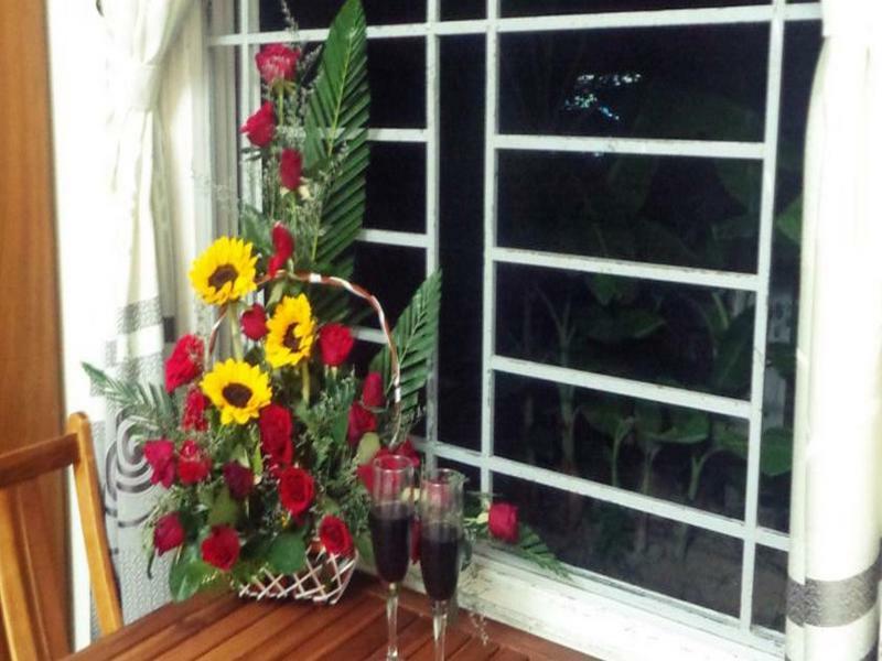 Homestay Gingergrass *