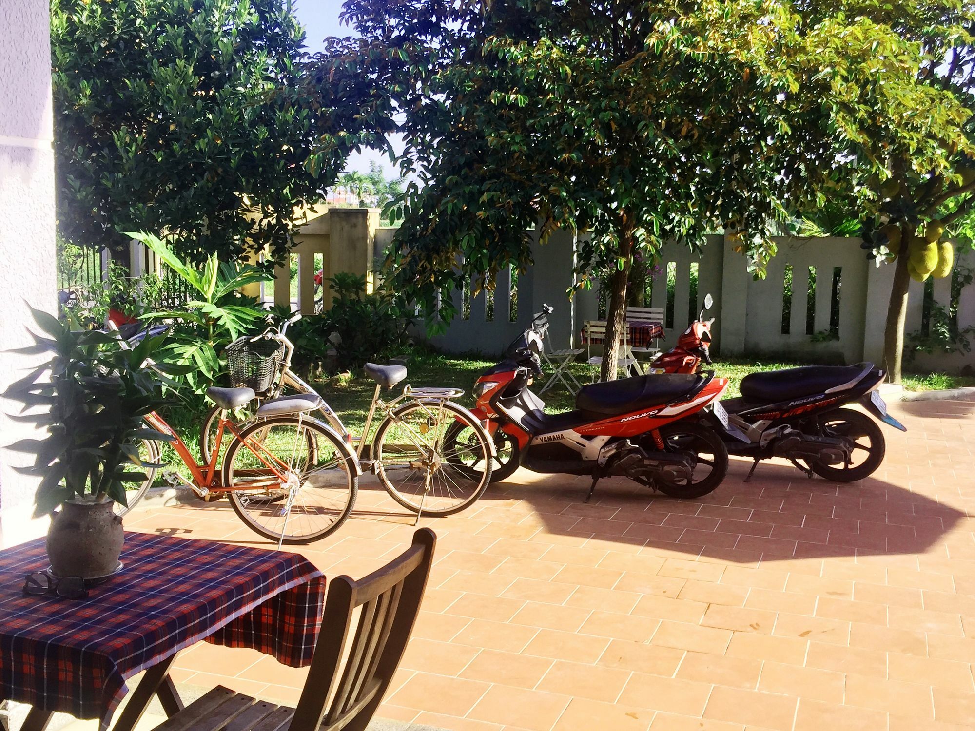 Gingergrass Homestay *