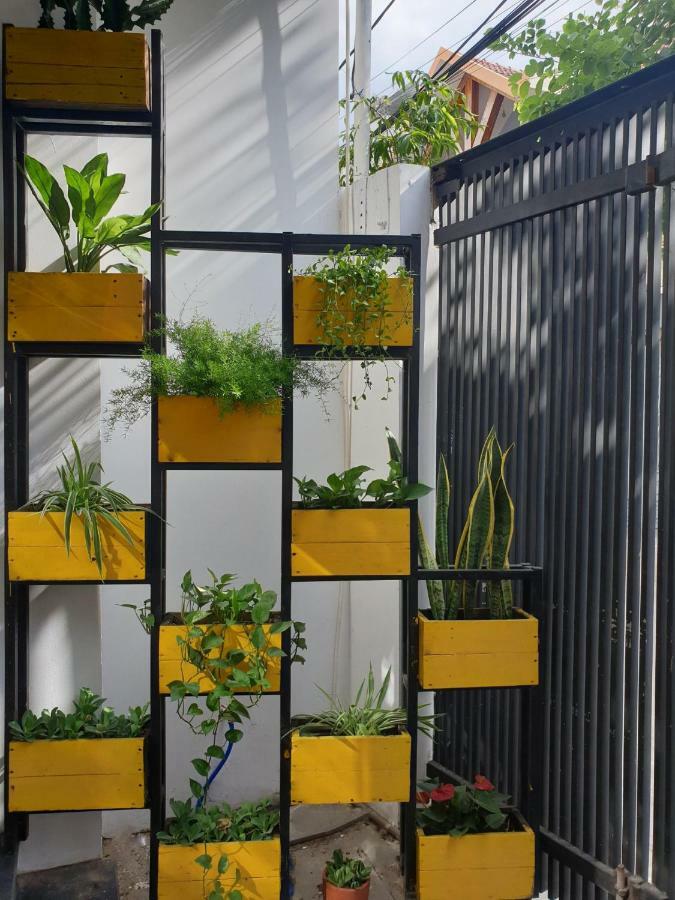 T P House 3 Apartment *