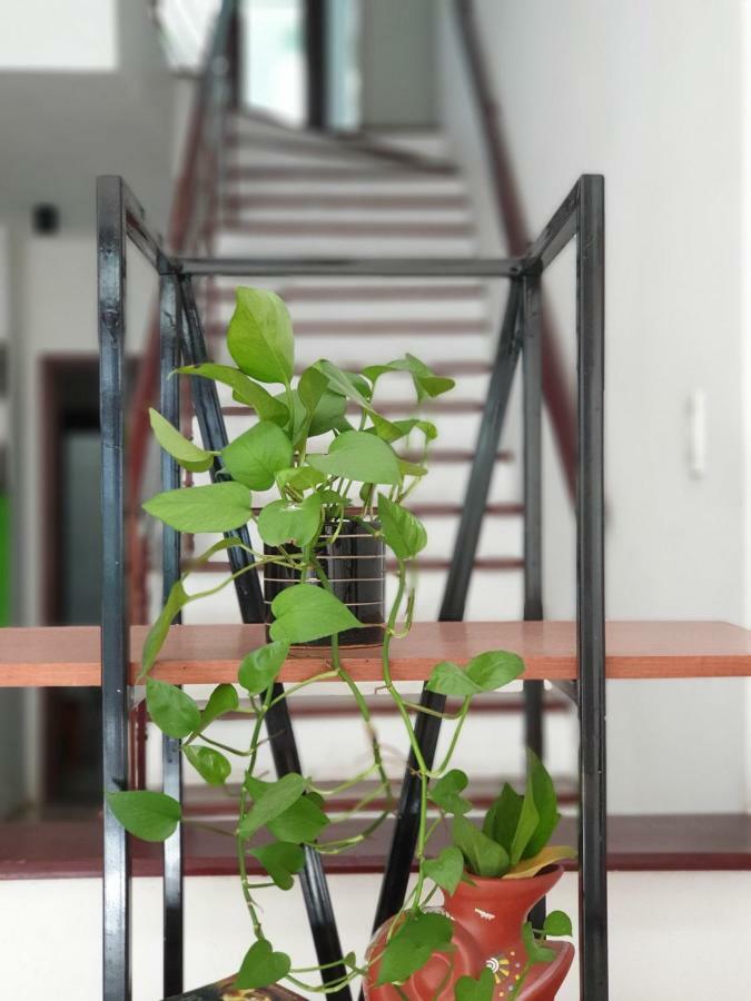Apartment T P House 3
