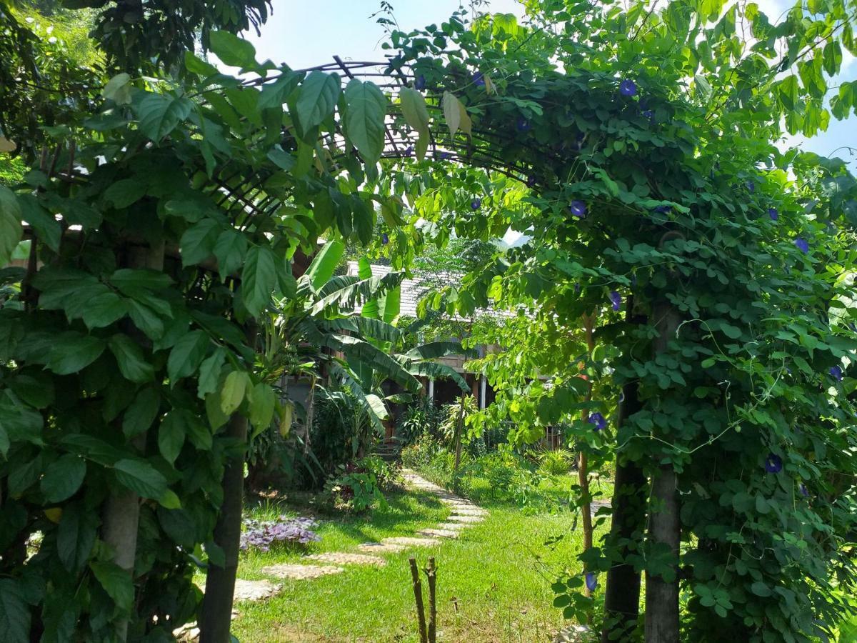 Homestay Little *