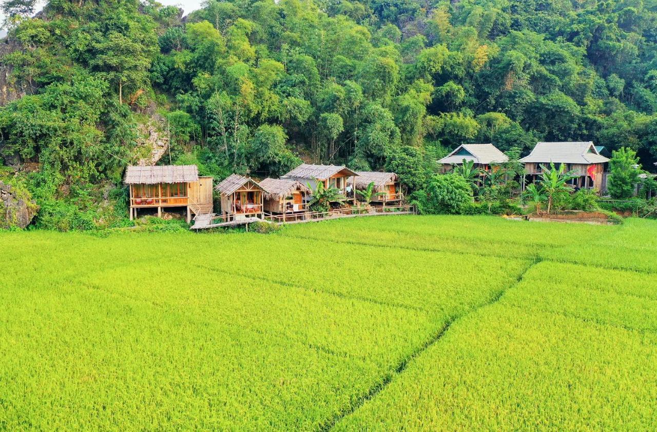 Little Homestay