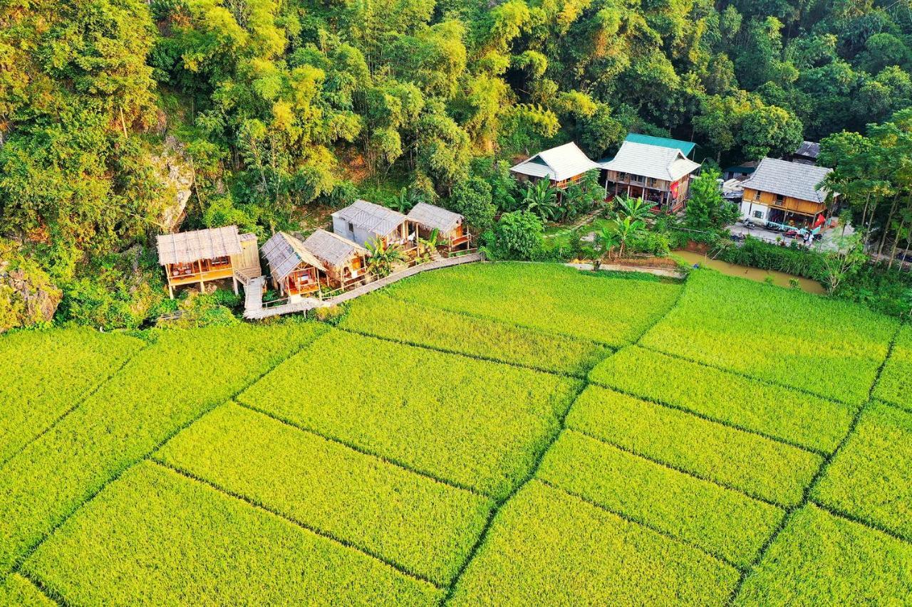 Homestay Little *