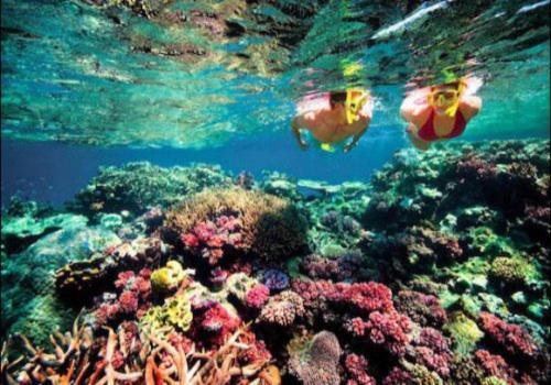 Hostel Bondi Backpackers Nhatrang Nha Trang