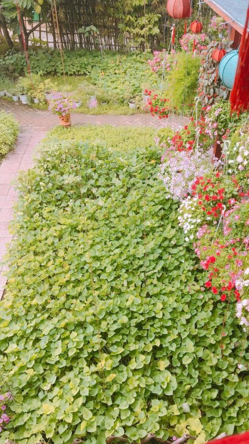 Sand Dune Homestay Hoi An