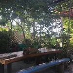 Confetti House
