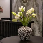 Ha Long Essence Hotel