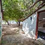 Sao Bien Cam Ranh - Starfish Cam Ranh