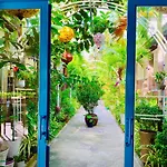 Canary Bungalow