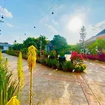 Forever Green Resort