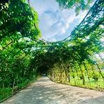 Forever Green Resort