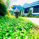 Forever Green Resort