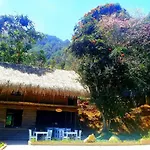 Dalach Noah Farm