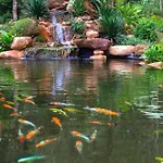 Avana Retreat