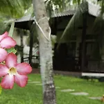 Thuy Thuy Cottages