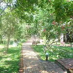 Khu Nghỉ Dưỡng Mai Spa