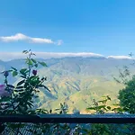 Mintu Home