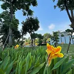 Mochi Home Hai Phong