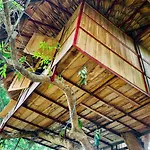 Muong Retreat- Nghi Duong Xanh Trong Bao Tang Van Hoa Nghe Thuat,Hoa Binh