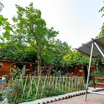 Green Peace Bungalow