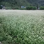 New Homestay