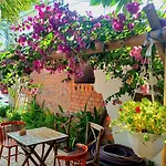 Maidi Homestay Mui Ne