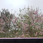 Oceanami Resort Sea View