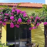 Chunlii Homestay