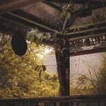 Trang An Lamia Bungalow