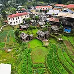 Mina Eco Home