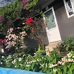 Cat Ba Countryside Homestay
