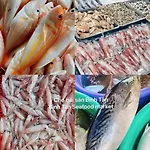 Can Ho Du Lich Khi Den Nha Trang