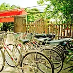 Trang An Mountain View Homestay