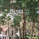 Tron Homestay