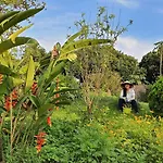 Fefe Garden