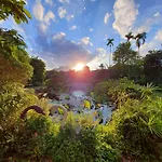 Fefe Garden