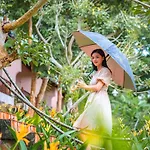Daisy Resort