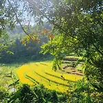 Duong Cong Chich Homestay