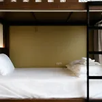Cao Bang Eco House