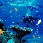 Saigon Phu Quoc Resort & Spa
