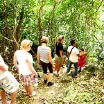 Whisper Nature Bungalow & Resort
