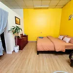 Tiny Garden House Cat Ba