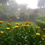 Sapa Garden Bed And Breakfast