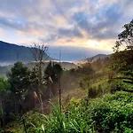 Toong Homestay