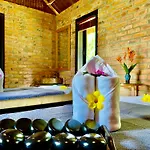 Enso Retreat Hoi An - Rediscovery & Serenity