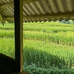 Sapa Tranquilla