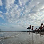 Hai Tien - Thanh Hoa