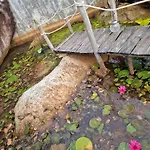Butterfly Rose Beach Resort Phu Quoc Francophone