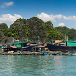 Cat Ba Cruise
