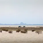 Unicharm Cruise